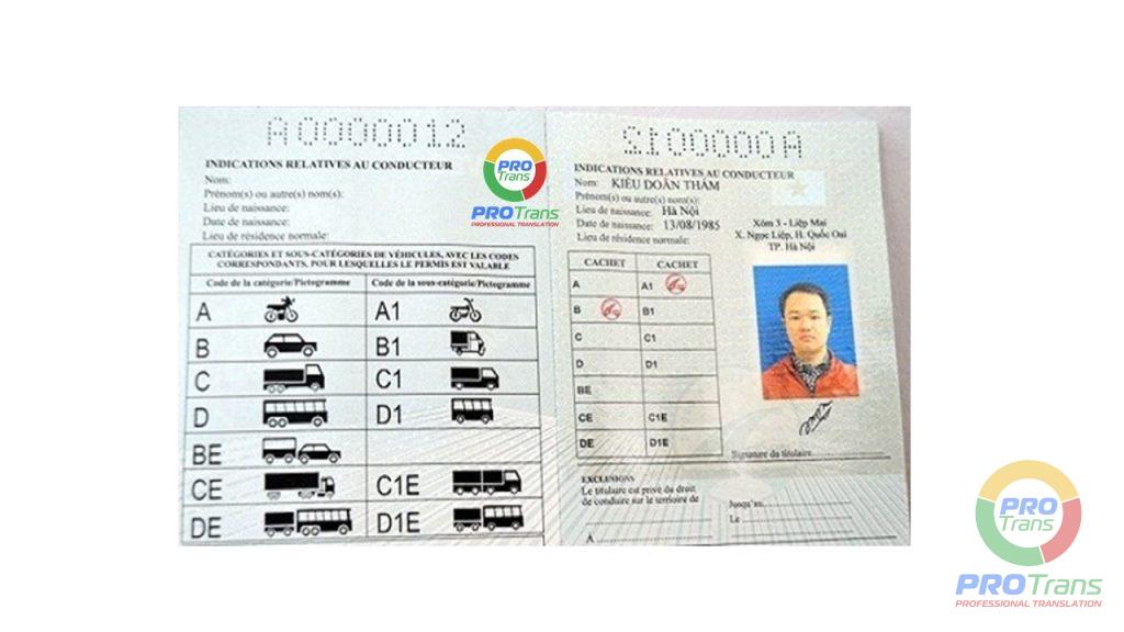Mẫu dịch thuật công chứng Bằng lái xe cho khách hàng tại Quận 11