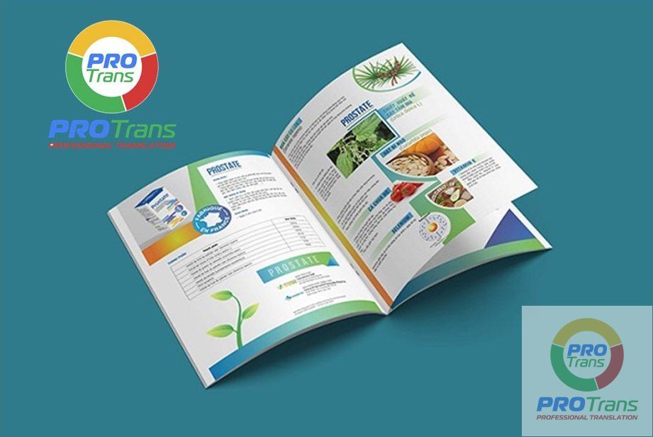 Mẫu dịch thuật catalogue 
