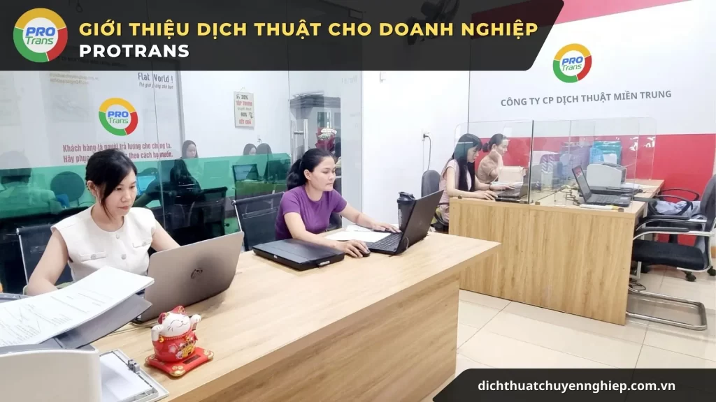 Đội ngũ nhân sự PROTRANS đang xử lý tài liệu dịch thuật cho doanh nghiệp tại văn phòng làm việc chuyên nghiệp.