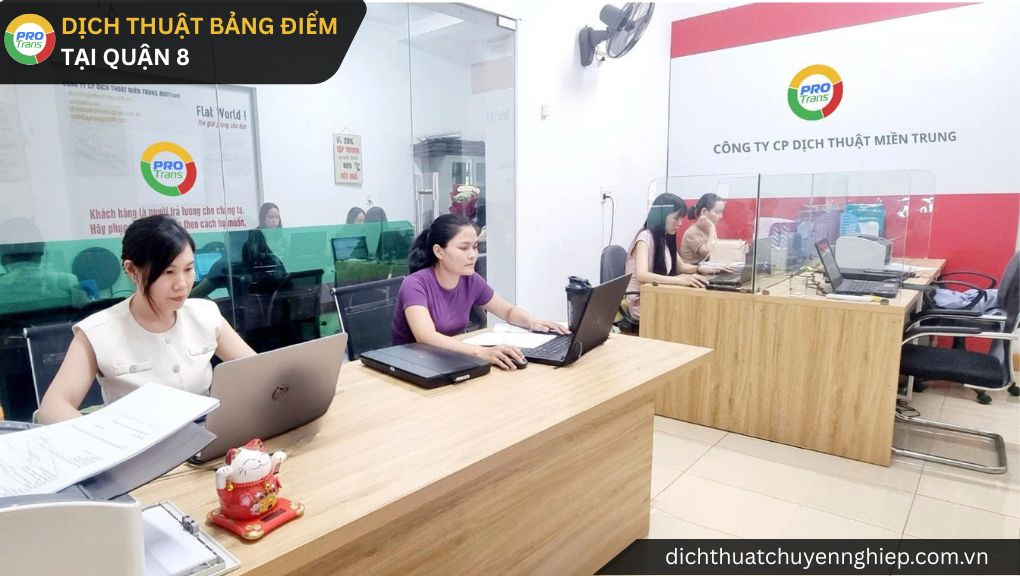 Dịch thuật Bảng điểm tại Quận 8 - PROTRANS