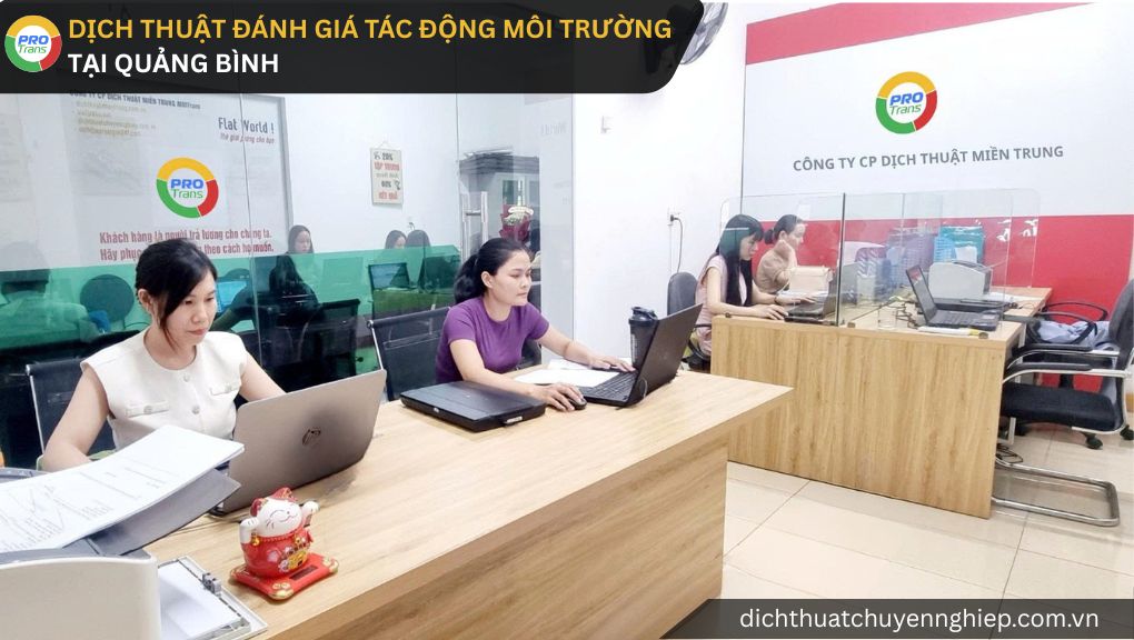 Đội ngũ chuyên viên PROTRANS tiếp nhận và kiểm tra sơ bộ hồ sơ dịch thuật đánh giá tác động môi trường tại quảng bình