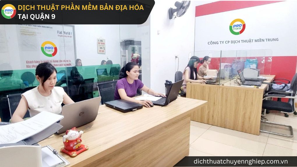 Dịch thuật Phần mềm bản địa hóa tại Quận 9 - PROTRANS