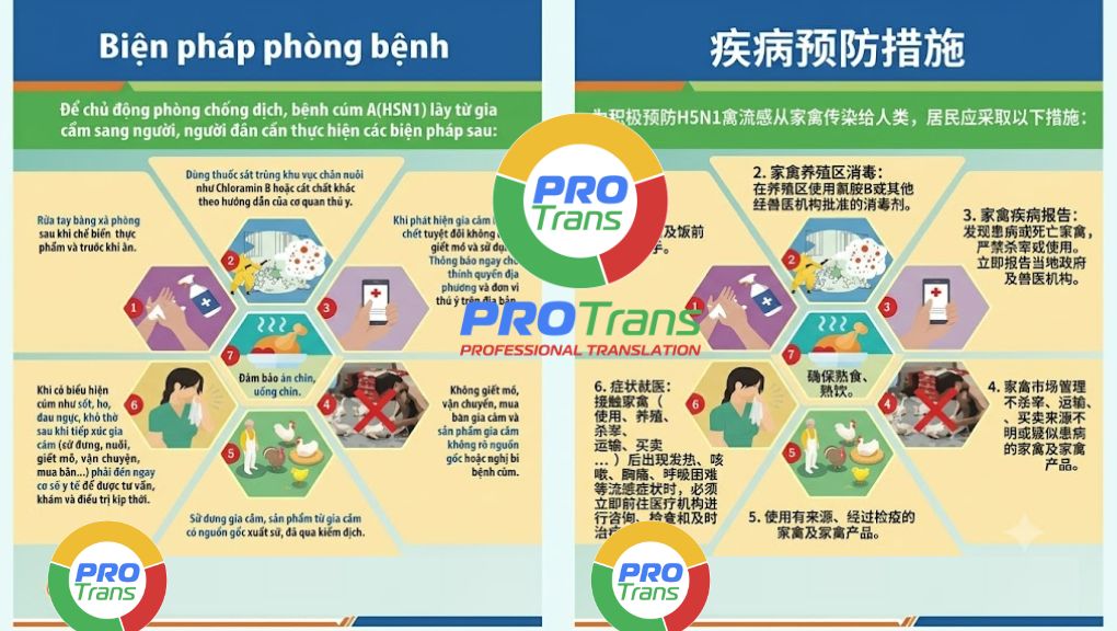 Mẫu dịch thuật tài liệu Truyền thông cho khách hàng tại Quận 9